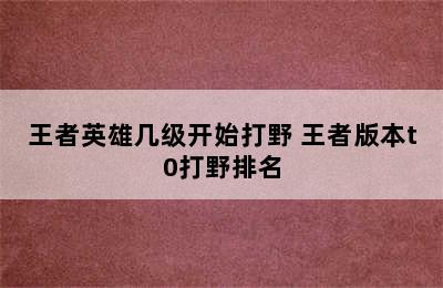 王者英雄几级开始打野 王者版本t0打野排名